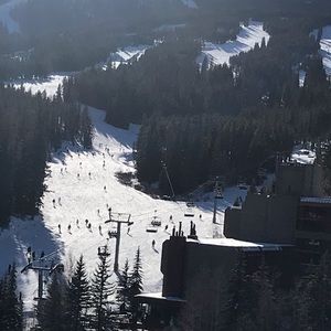 Meet your Posher, Tess